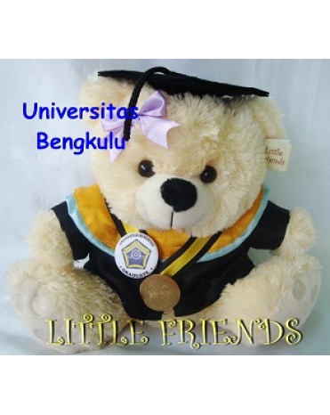 Boneka Wisuda Universitas Bengkulu - Ilmu Kelautan (30 cm)